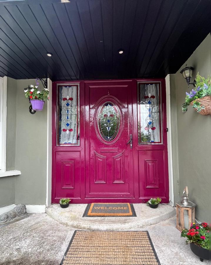 Hightree House Appartement Cork Buitenkant foto